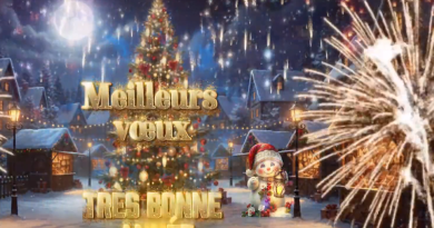 Bonnes fêtes de  fin d’année